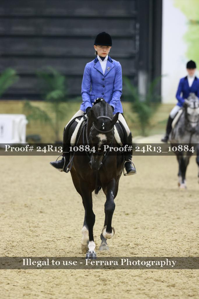 Proof 24R13_10884