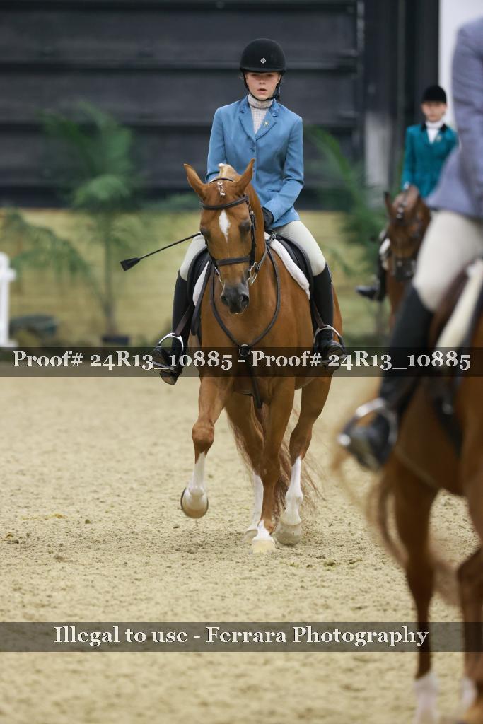 Proof 24R13_10885