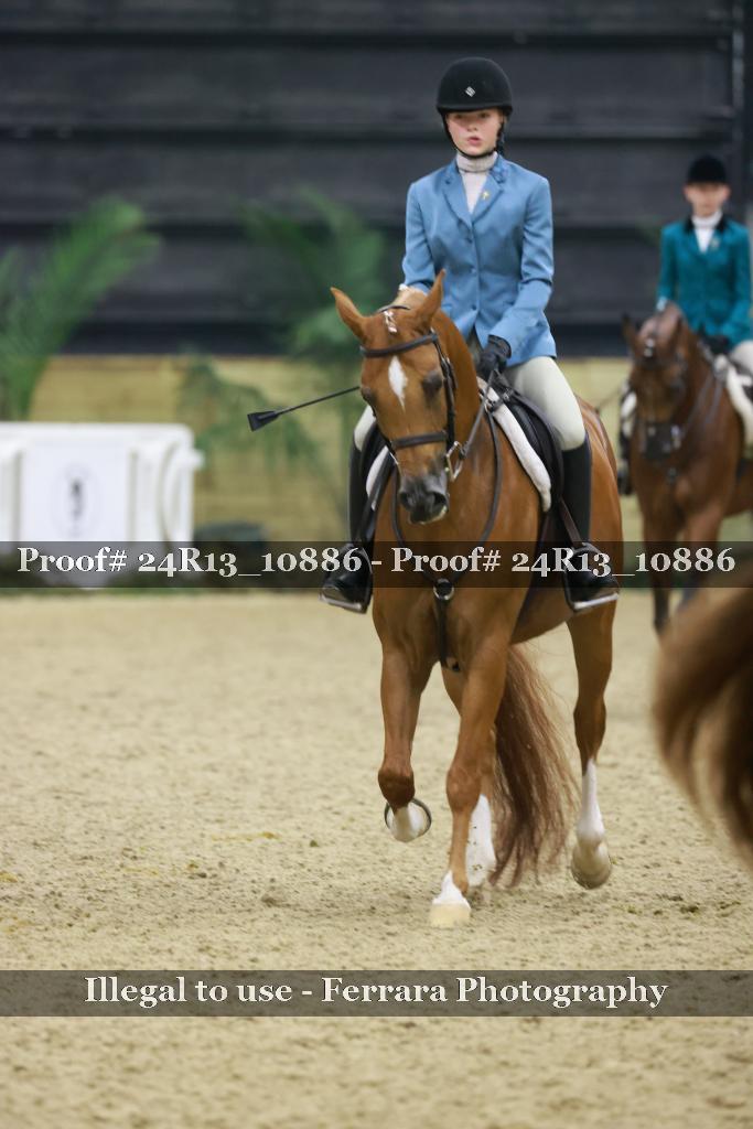 Proof 24R13_10886