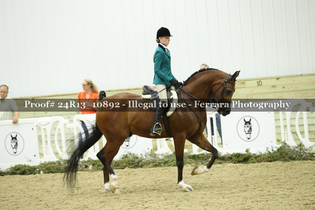 Proof 24R13_10892