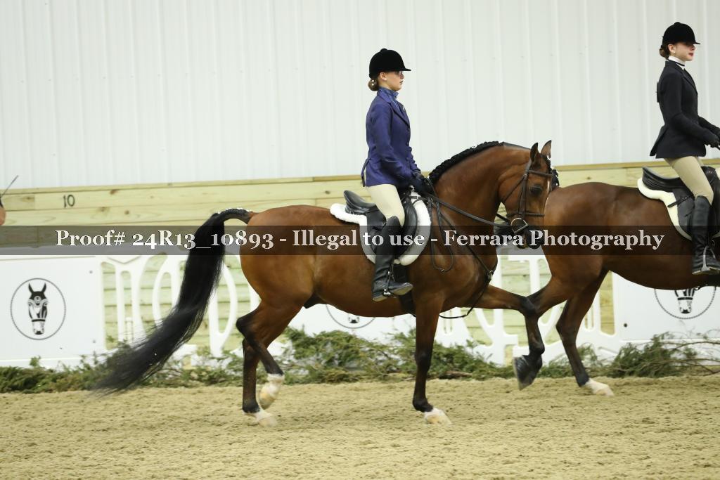 Proof 24R13_10893