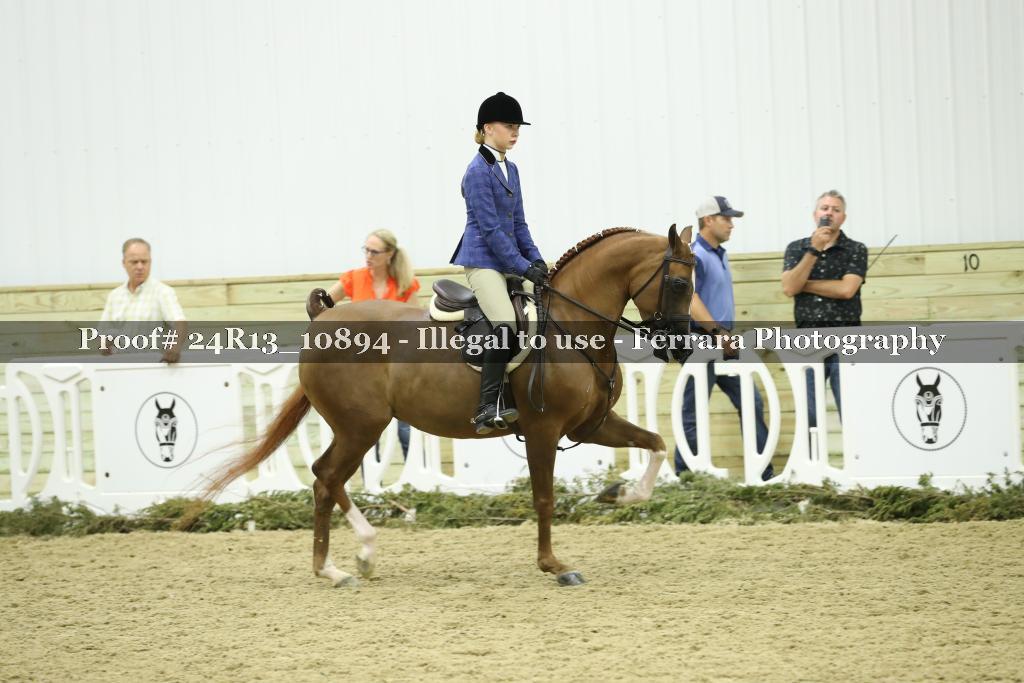 Proof 24R13_10894