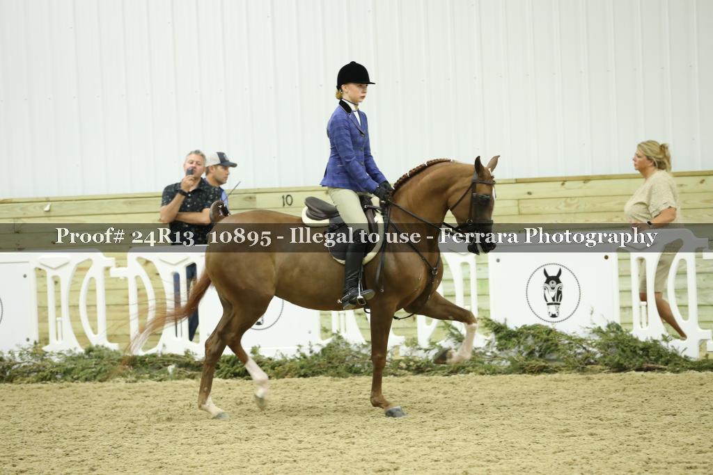 Proof 24R13_10895