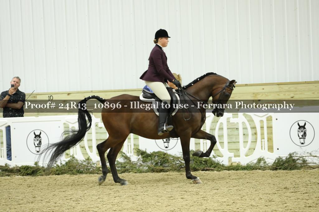 Proof 24R13_10896