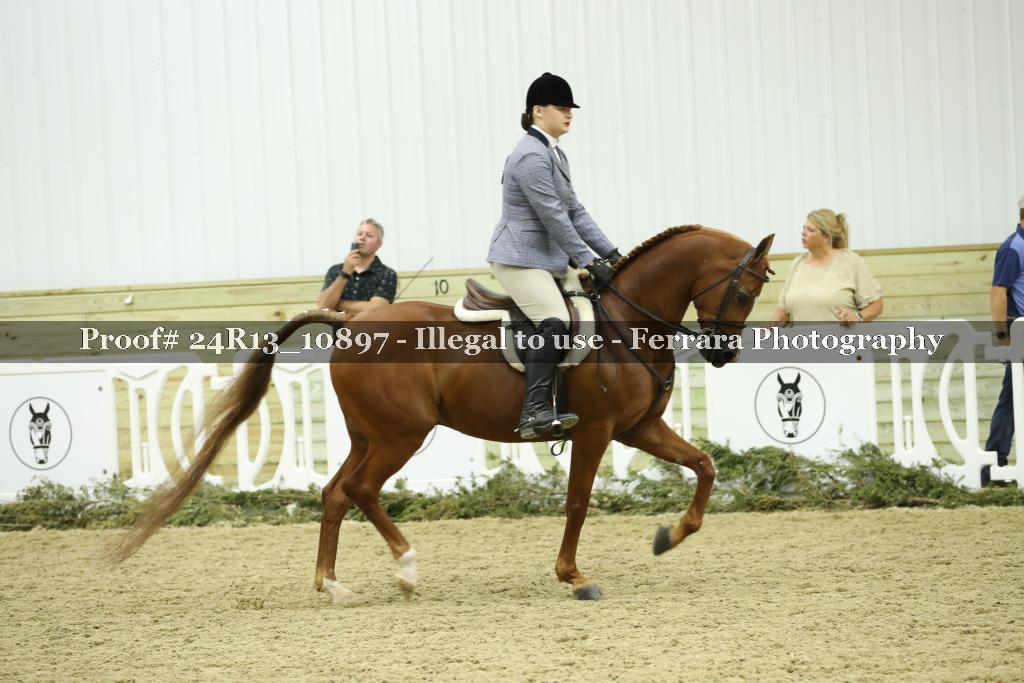 Proof 24R13_10897