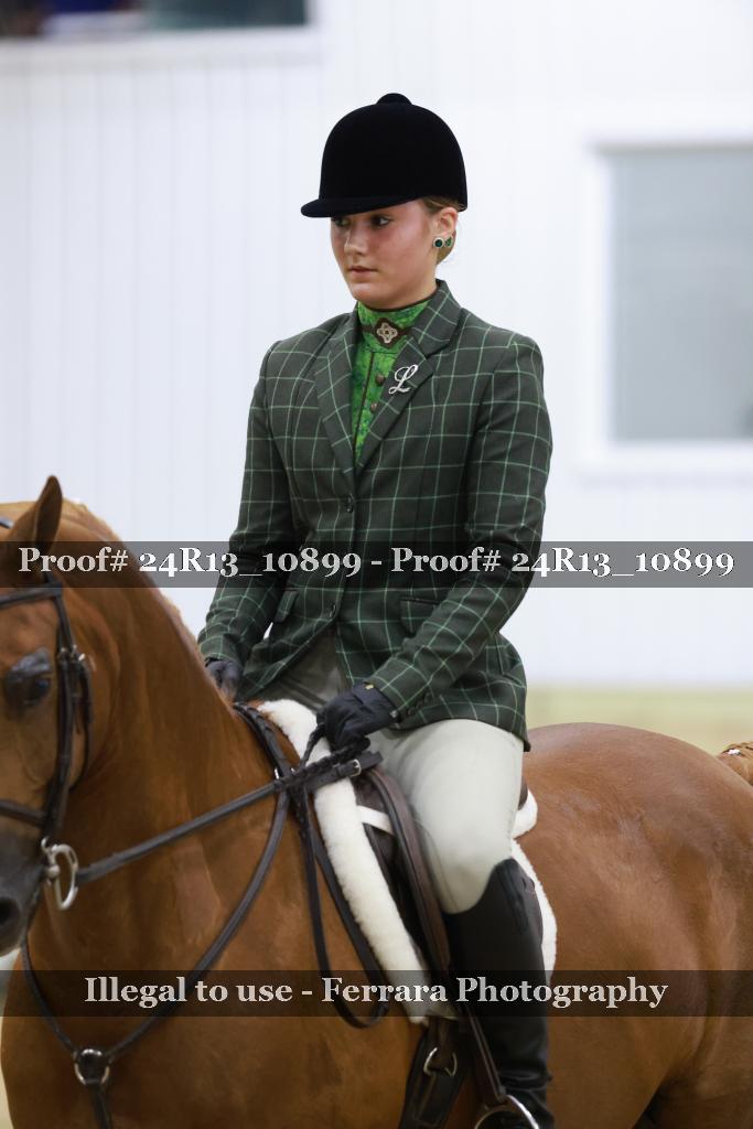 Proof 24R13_10899