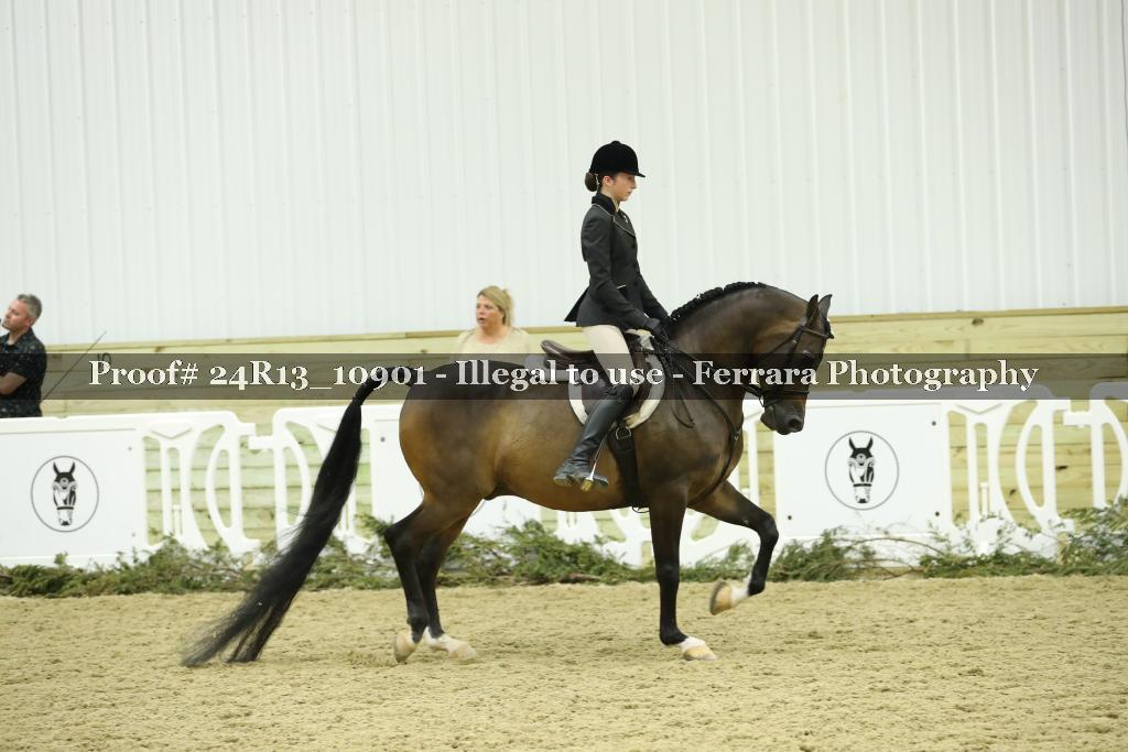 Proof 24R13_10901
