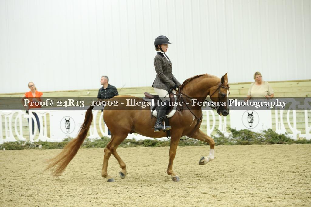 Proof 24R13_10902