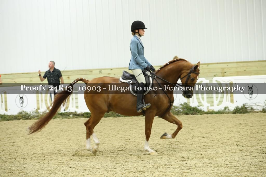 Proof 24R13_10903