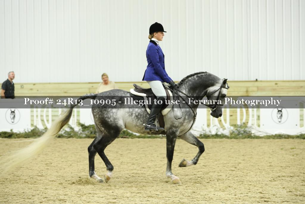 Proof 24R13_10905