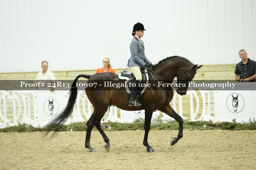 Proof 24R13_10907