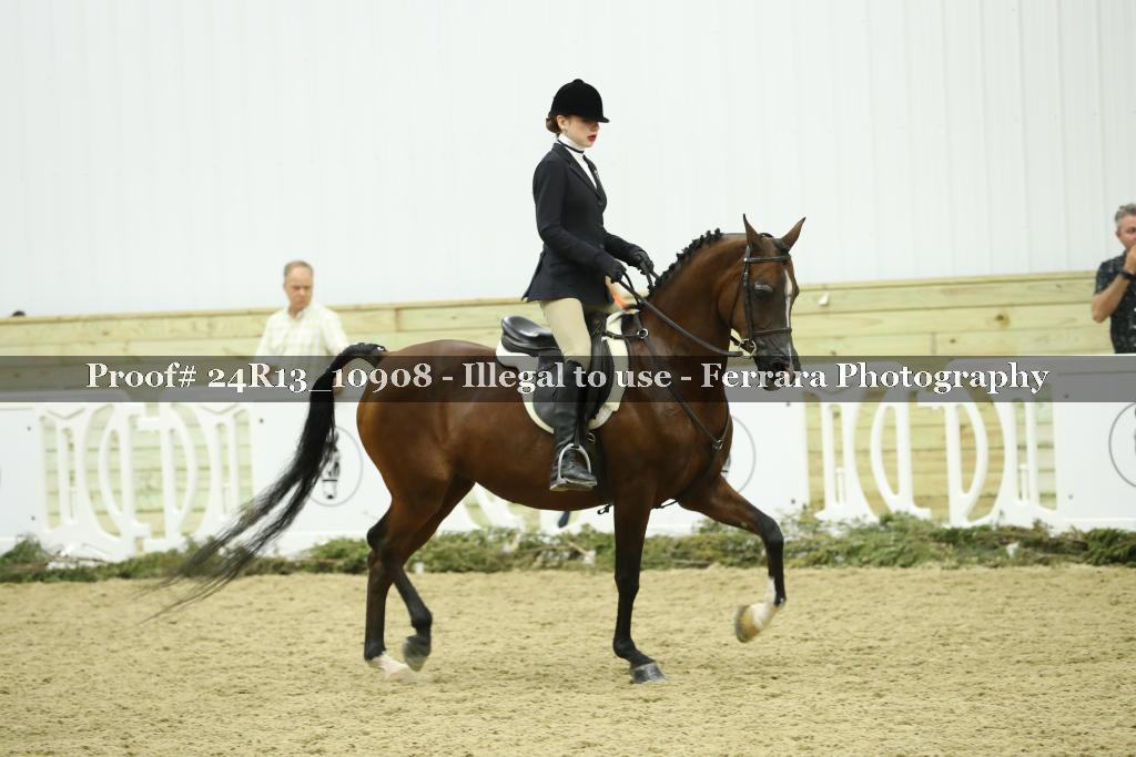 Proof 24R13_10908