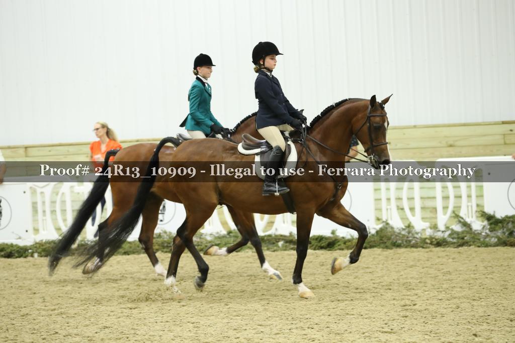 Proof 24R13_10909