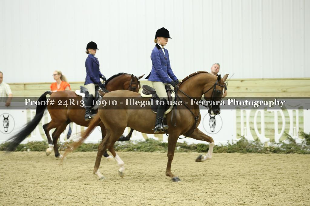Proof 24R13_10910
