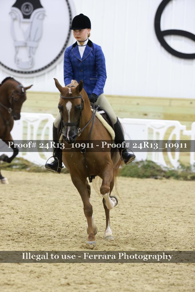 Proof 24R13_10911