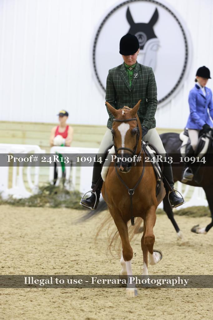 Proof 24R13_10914