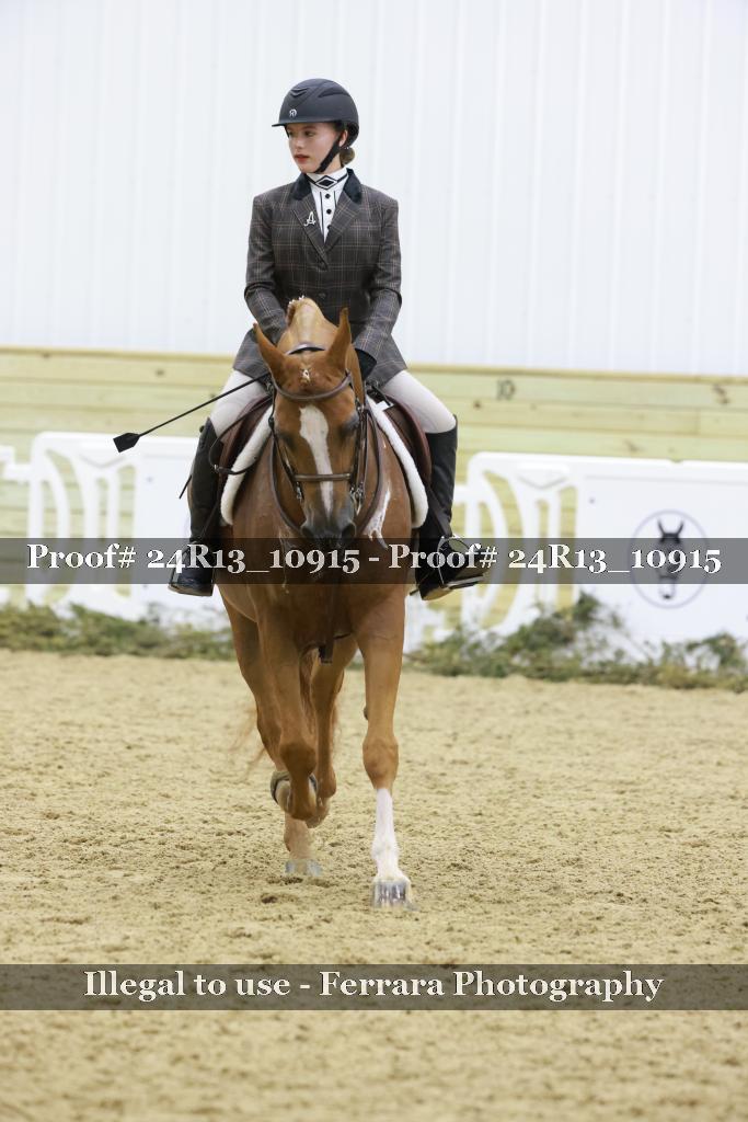 Proof 24R13_10915
