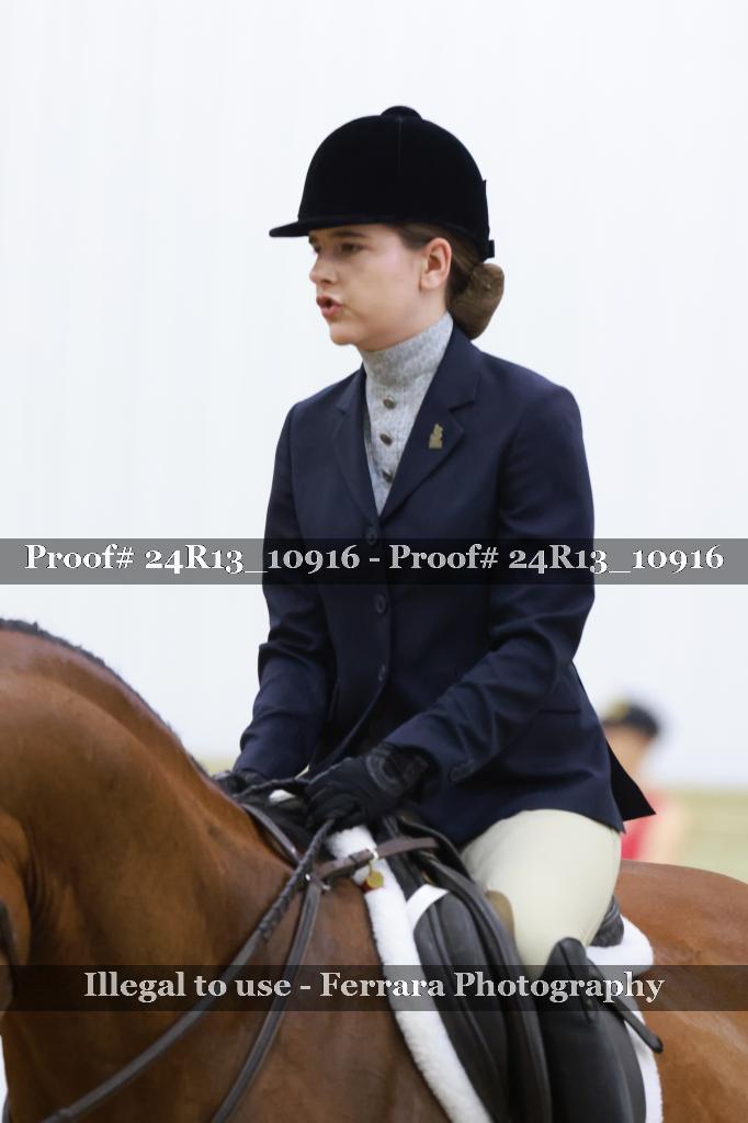 Proof 24R13_10916