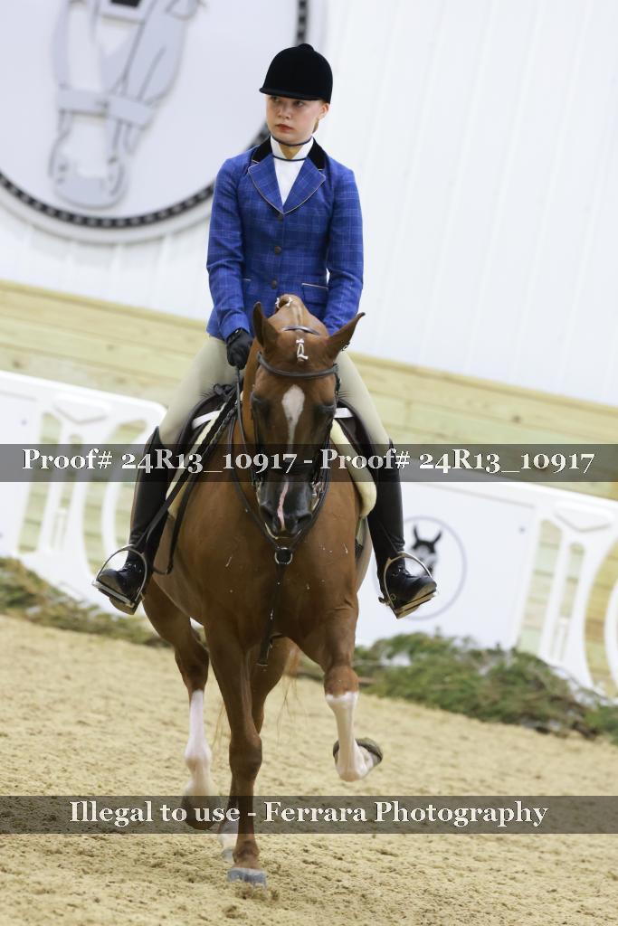 Proof 24R13_10917