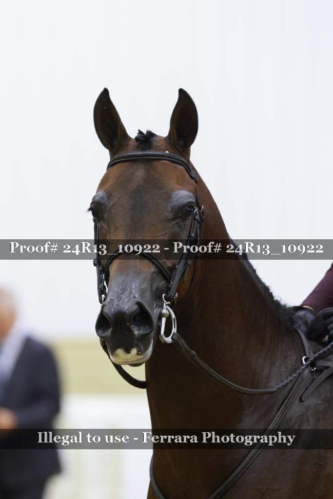 Proof 24R13_10922