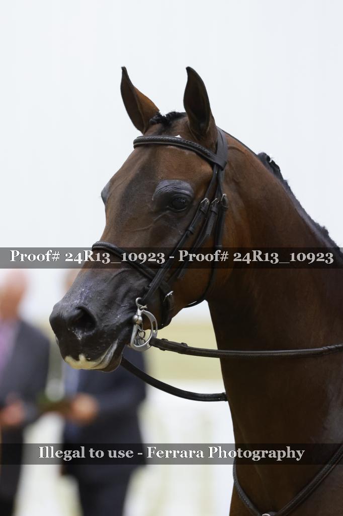 Proof 24R13_10923