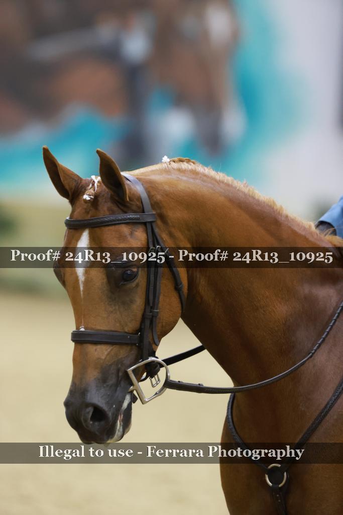 Proof 24R13_10925