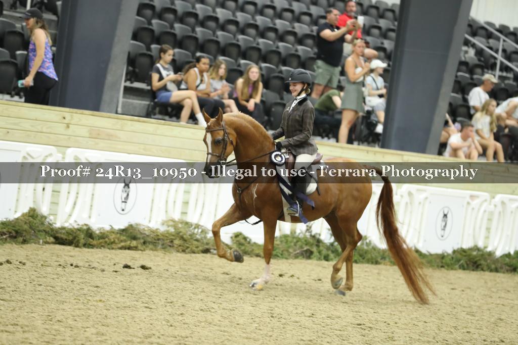Proof 24R13_10950