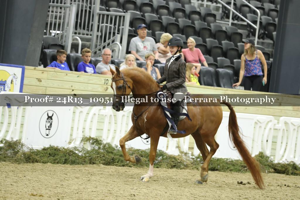 Proof 24R13_10951