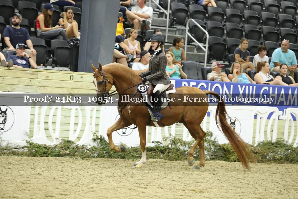 Proof 24R13_10953