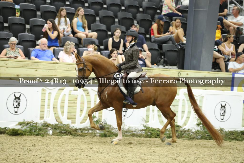 Proof 24R13_10954