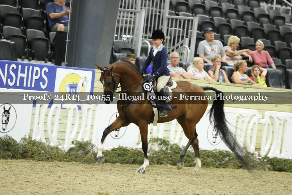 Proof 24R13_10955