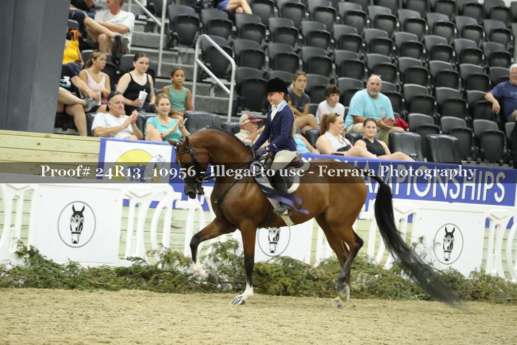 Proof 24R13_10956