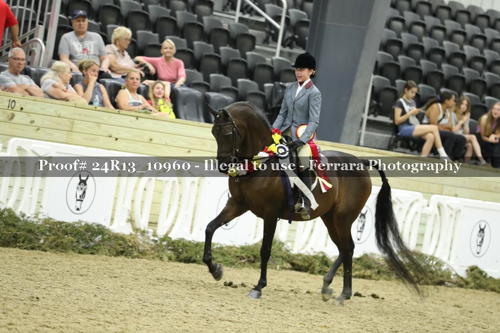 Proof 24R13_10960