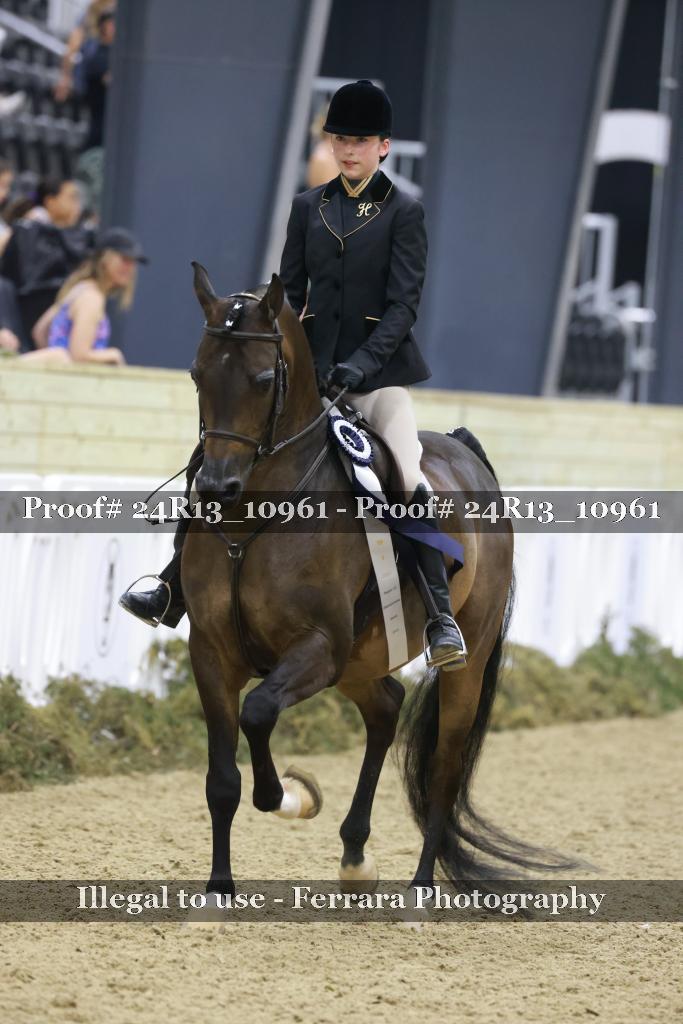 Proof 24R13_10961