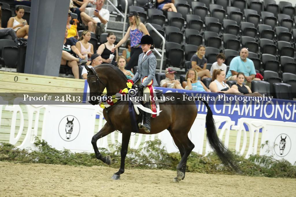 Proof 24R13_10963
