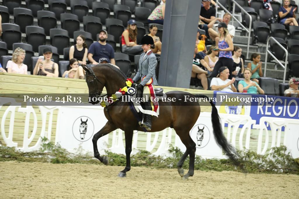 Proof 24R13_10965