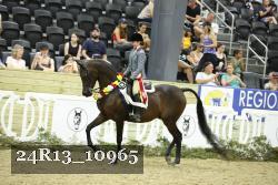 24R13_10965 proof