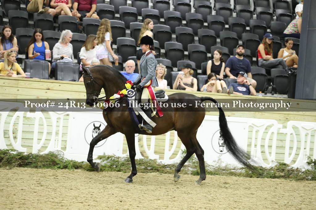 Proof 24R13_10966