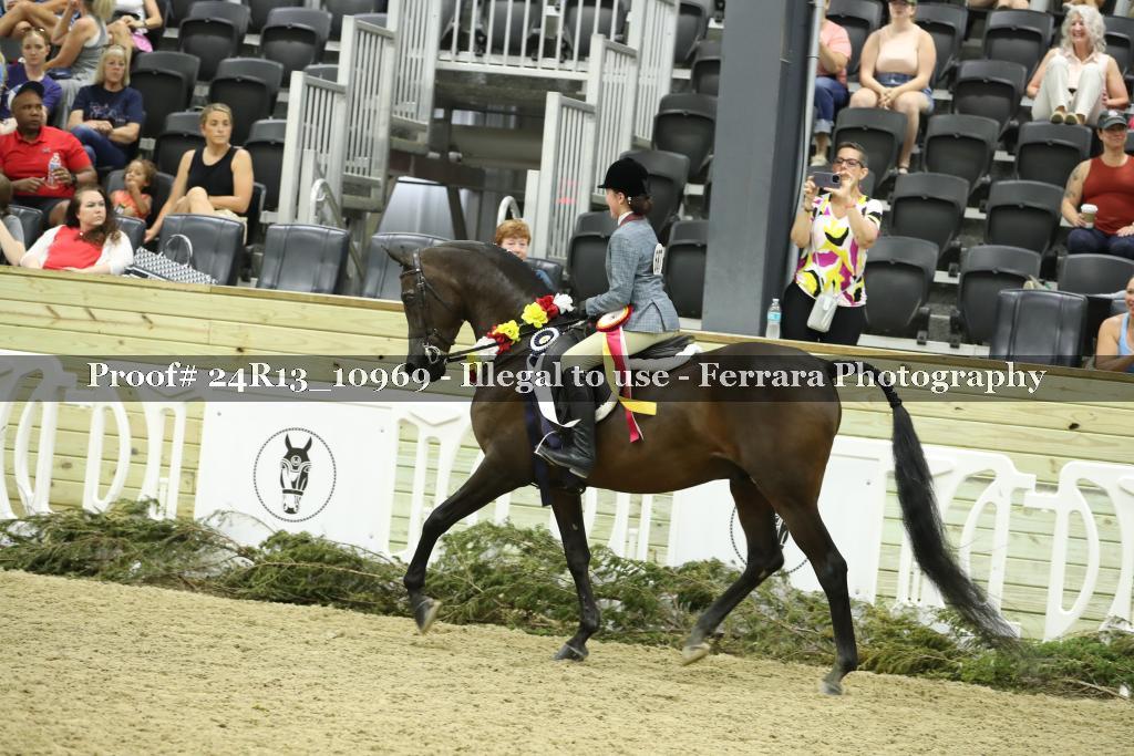 Proof 24R13_10969