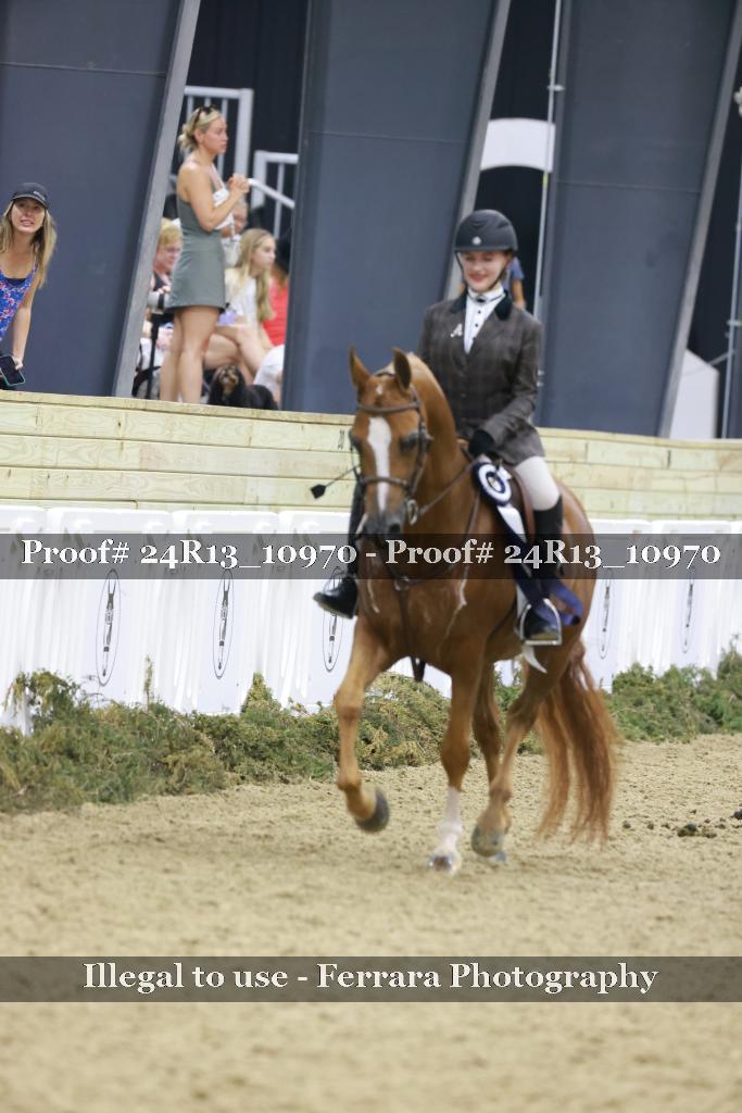 Proof 24R13_10970