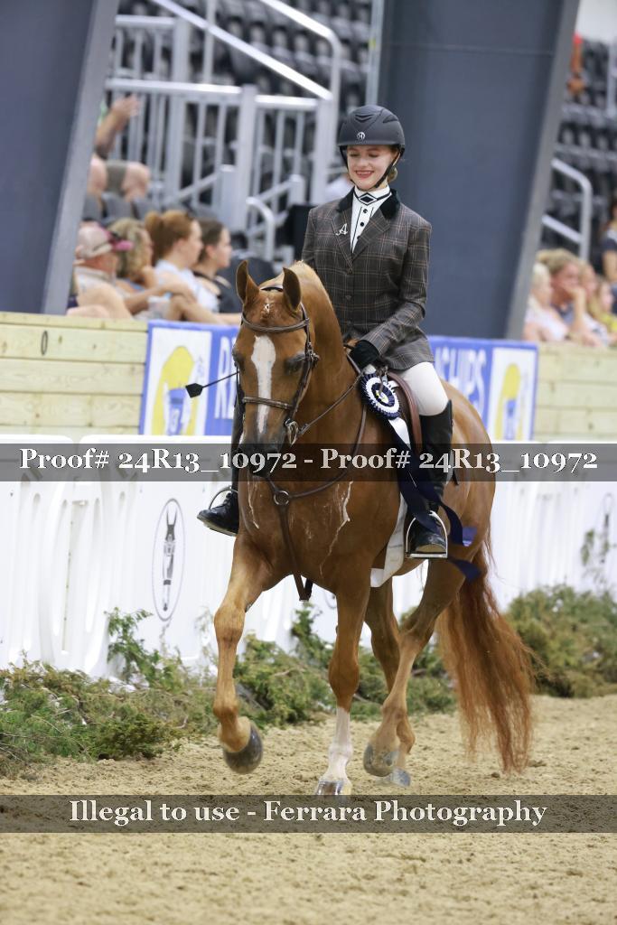 Proof 24R13_10972