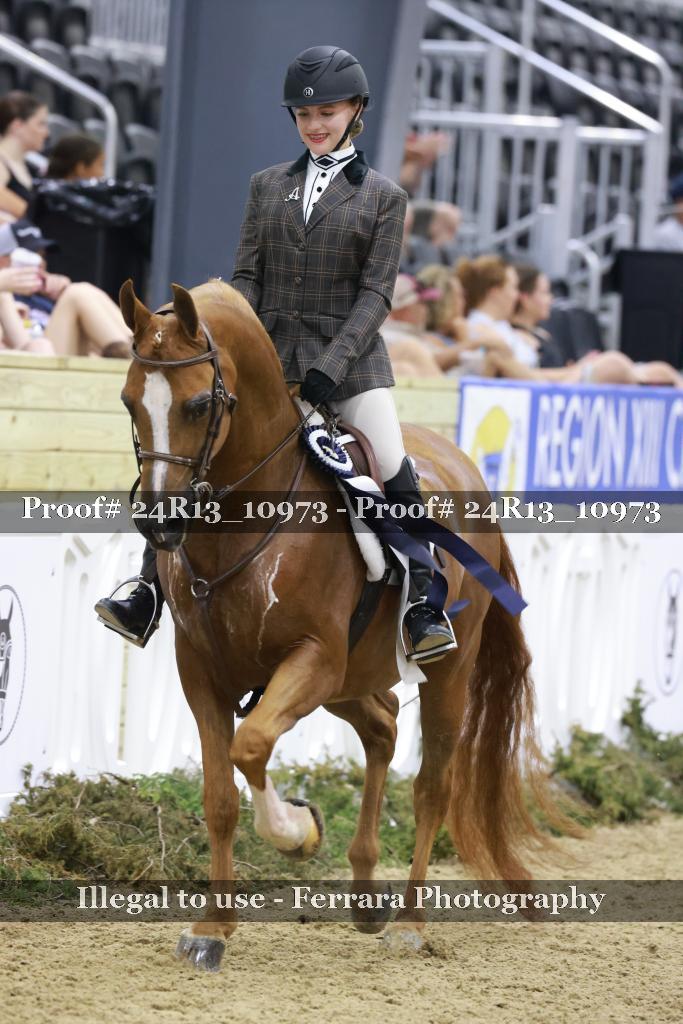 Proof 24R13_10973