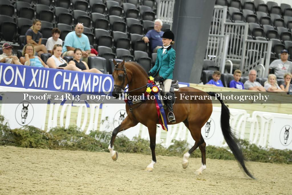 Proof 24R13_10976