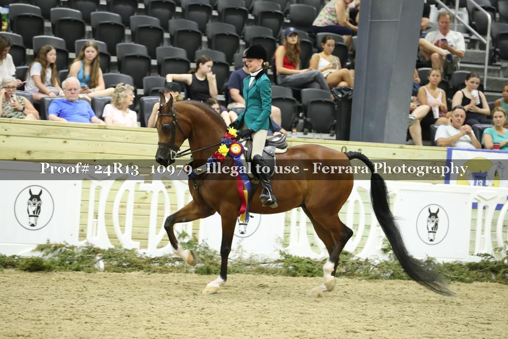 Proof 24R13_10979