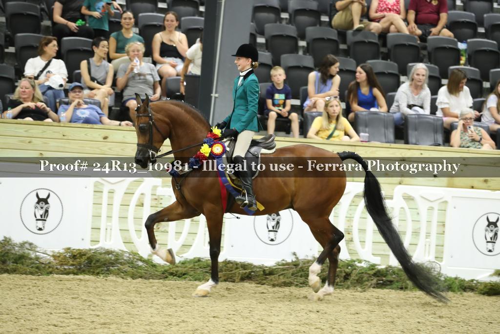 Proof 24R13_10981