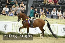24R13_10981 proof