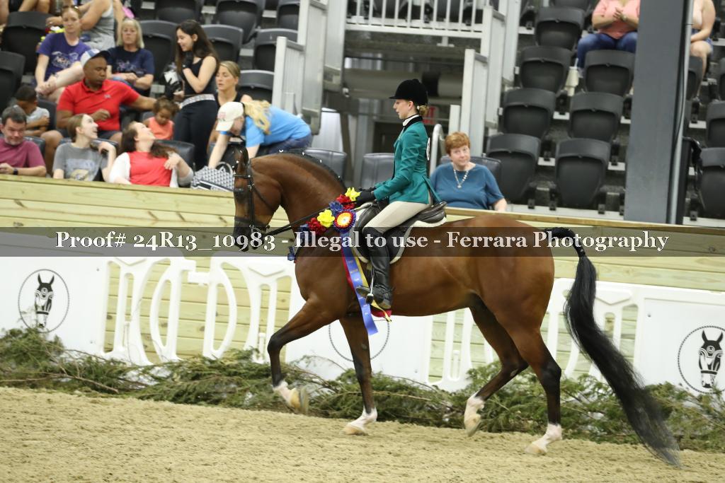 Proof 24R13_10983