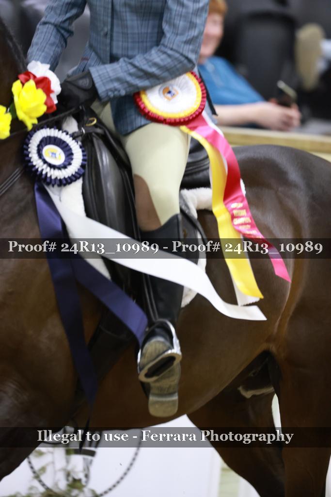 Proof 24R13_10989
