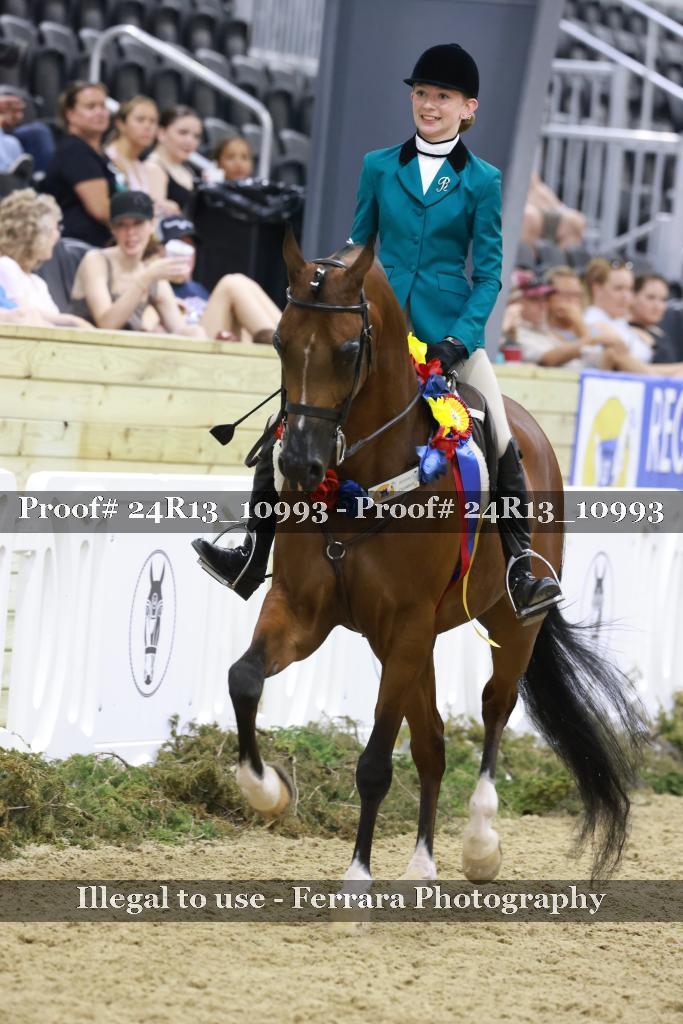 Proof 24R13_10993