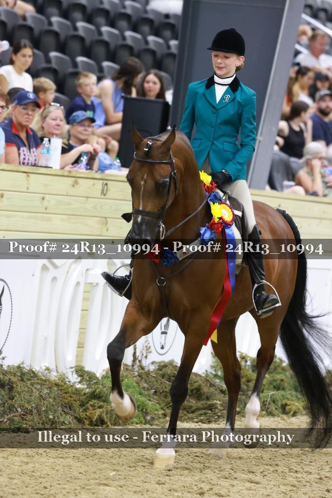 Proof 24R13_10994